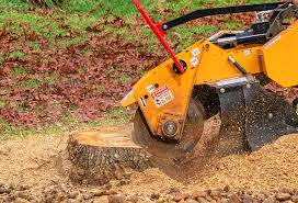 Best Firewood Processing and Delivery  in Gillett, WI