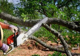 Best Pest Control for Lawns  in Gillett, WI