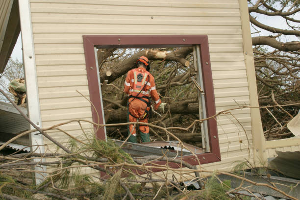 Best Tree Trimming and Pruning  in Gillett, WI