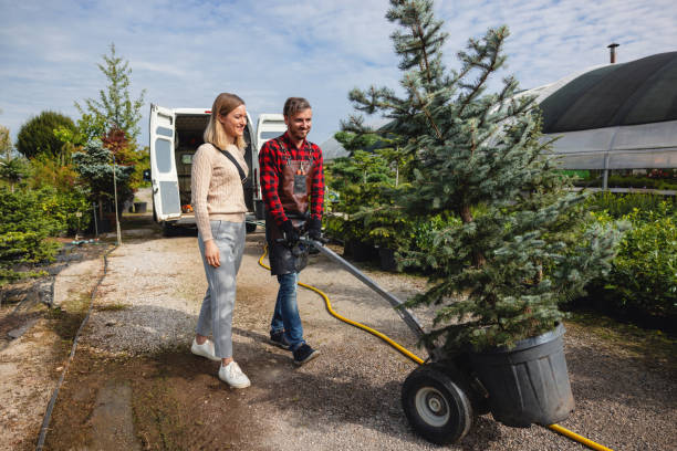 Mulching Services in Gillett, WI