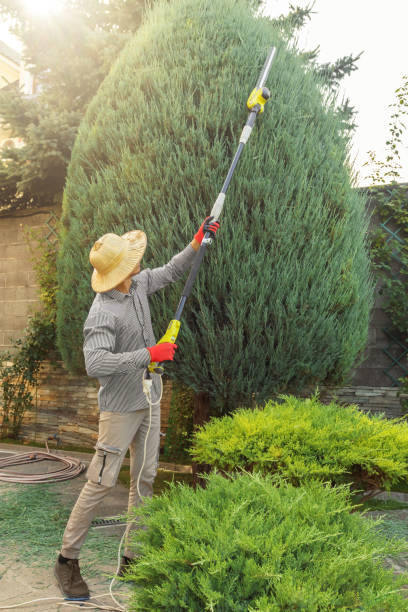 Best Landscape Design and Installation  in Gillett, WI